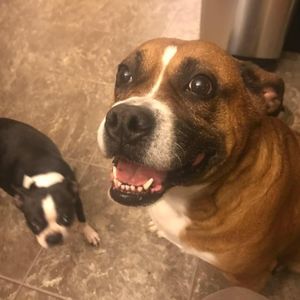 Meet your Posher, Carrie